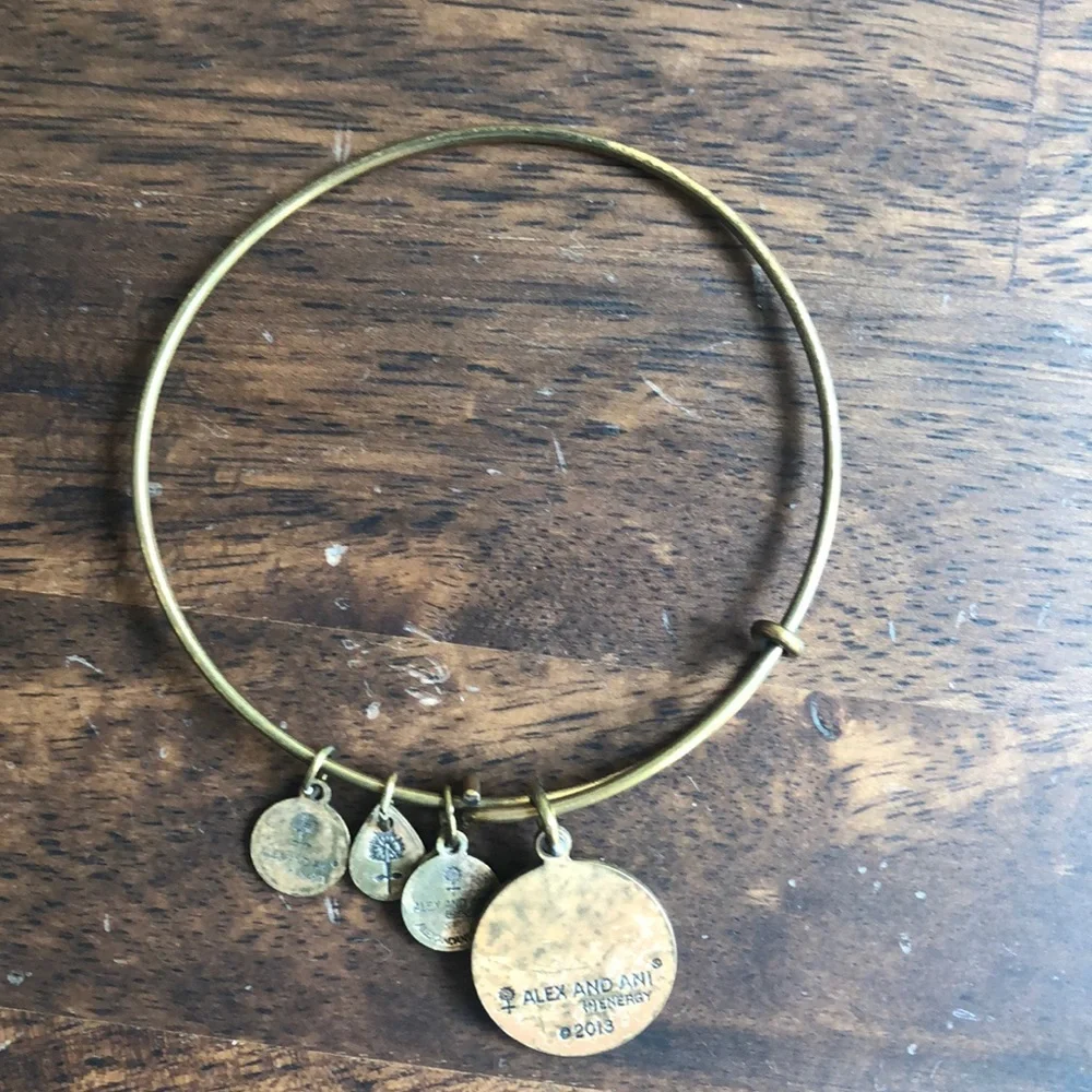 Alex and Ani Virgo Bangle Bracelet Rafaelian Gold Zodiac Expandable Energy 2013